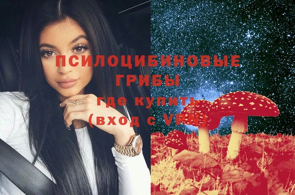 ешки Осинники