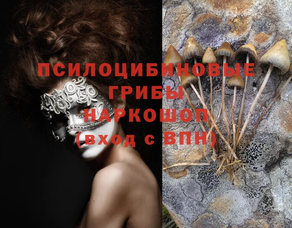ешки Осинники