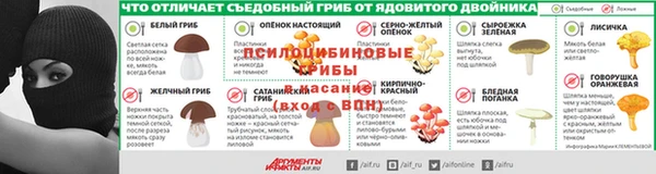 ешки Осинники