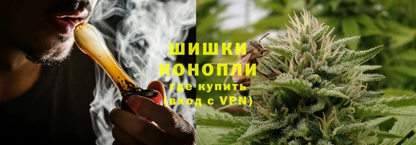 ешки Осинники